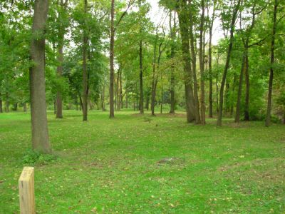 Aumiller Park, Main course, Hole 11 Tee pad