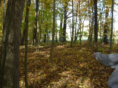 Aumiller Park, Main course, Hole 2 Short approach