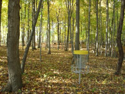 Aumiller Park, Main course, Hole 7 Reverse (back up the fairway)