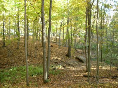 Aumiller Park, Main course, Hole 4 Midrange approach