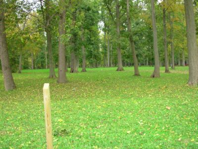 Aumiller Park, Main course, Hole 15 Tee pad