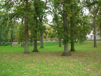 Aumiller Park, Main course, Hole 18 Tee pad