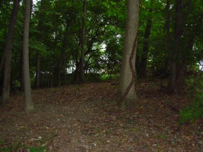 Ohio University-Chillicothe, Main course, Hole 4 Reverse (back up the fairway)