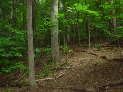 Ohio University-Chillicothe, Main course, Hole 8 Midrange approach