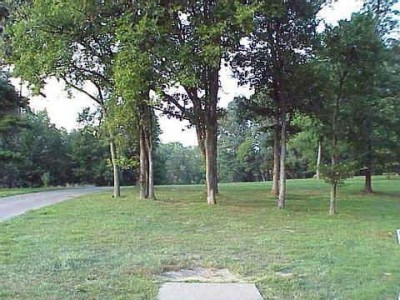 Mt. Airy Forest, Main course, Hole 5 Tee pad