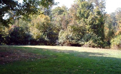 Mt. Airy Forest, Main course, Hole 15 Short approach