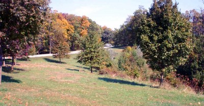 Mt. Airy Forest, Main course, Hole 10 Long approach