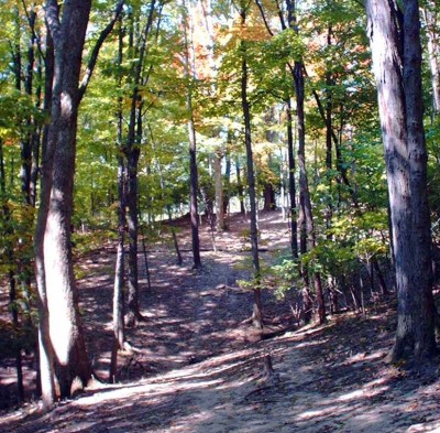 Mt. Airy Forest, Main course, Hole 8 Tee pad