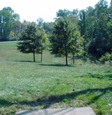 Mt. Airy Forest, Main course, Hole 18 Tee pad