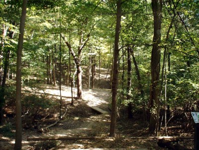 Mt. Airy Forest, Main course, Hole 7 Tee pad