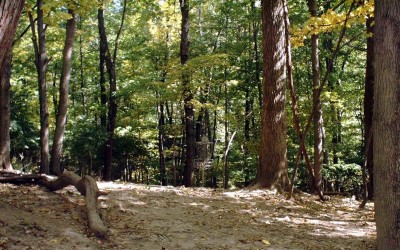 Mt. Airy Forest, Main course, Hole 7 Short approach