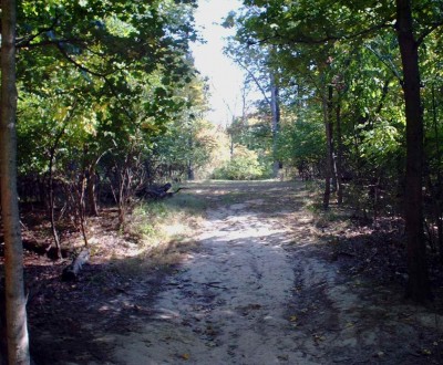 Mt. Airy Forest, Main course, Hole 16 Tee pad