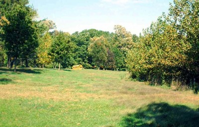 Mt. Airy Forest, Main course, Hole 10 Tee pad