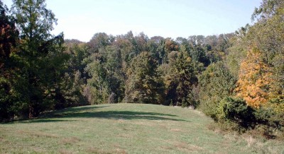 Mt. Airy Forest, Main course, Hole 2 Midrange approach