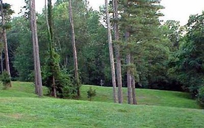 Mt. Airy Forest, Main course, Hole 4 Long approach