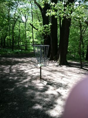 Flat Rocks, Main course, Hole 5 Putt