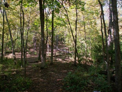 Buck Creek State Park, Main course, Hole 4 Tee pad