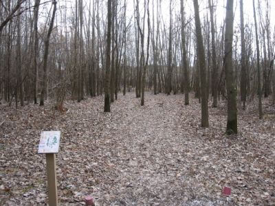 Upper Sandusky Reservoir, Main course, Hole 16 Short tee pad