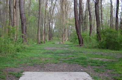 Clarence Darrow Park (Young's Run), Main course, Hole 12 Long tee pad