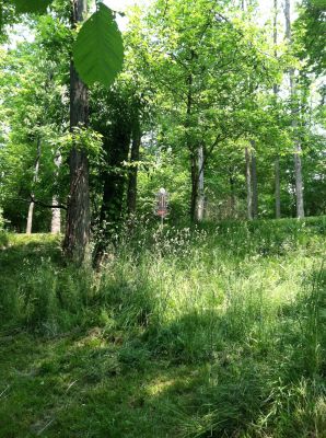 Clarence Darrow Park (Young's Run), Main course, Hole 9 Midrange approach