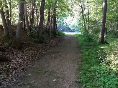 Freedlander Park, Main course, Hole 8 Short approach