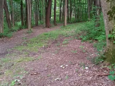 Freedlander Park, Main course, Hole 2 Short tee pad