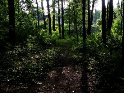 Freedlander Park, Main course, Hole 4 Long tee pad