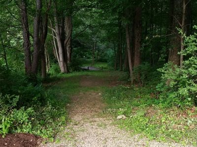 Freedlander Park, Main course, Hole 1 Tee pad