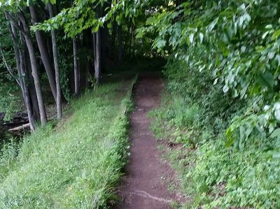 Freedlander Park, Main course, Hole 9 Short tee pad