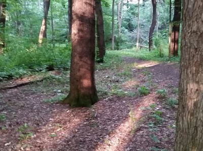 Freedlander Park, Main course, Hole 6 Short tee pad