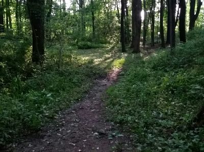 Freedlander Park, Main course, Hole 3 Short tee pad