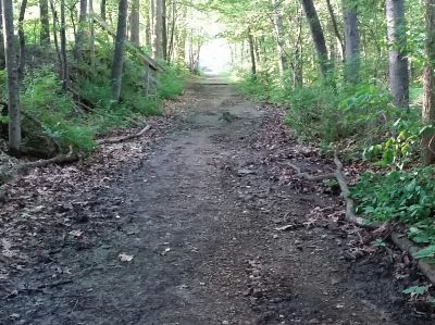 Freedlander Park, Main course, Hole 8 Long tee pad