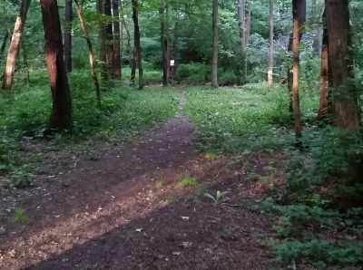 Freedlander Park, Main course, Hole 6 Midrange approach