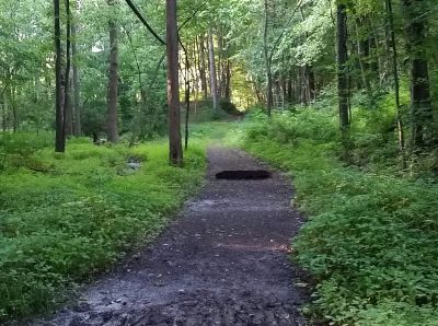 Freedlander Park, Main course, Hole 7 Long tee pad