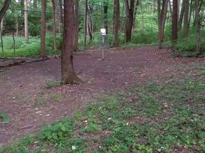 Freedlander Park, Main course, Hole 2 Short approach