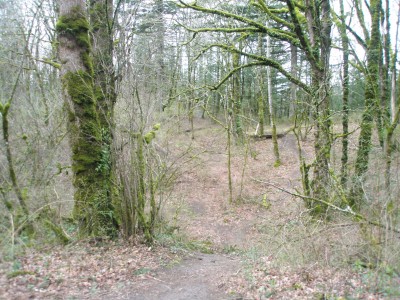 Rooster Rock, East, Hole 7 Tee pad