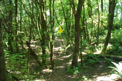 Rooster Rock, East, Hole 2 Midrange approach