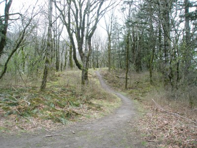 Rooster Rock, East, Hole 9 Tee pad