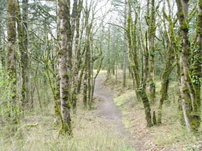 Rooster Rock, East, Hole 8 Tee pad