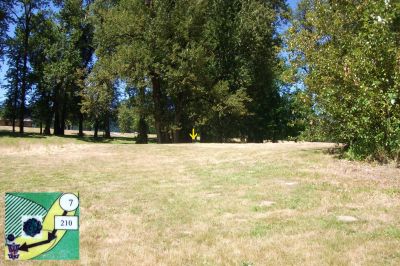 Rooster Rock, West, Hole 7 Tee pad