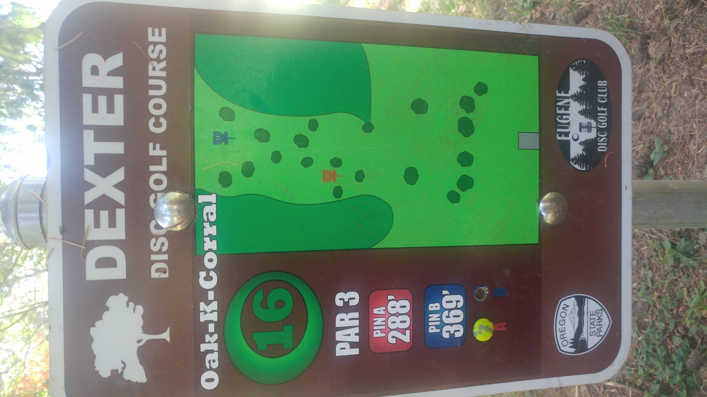 Hole 16 • Dexter Park (Dexter, OR) Disc Golf Courses Disc Golf Scene