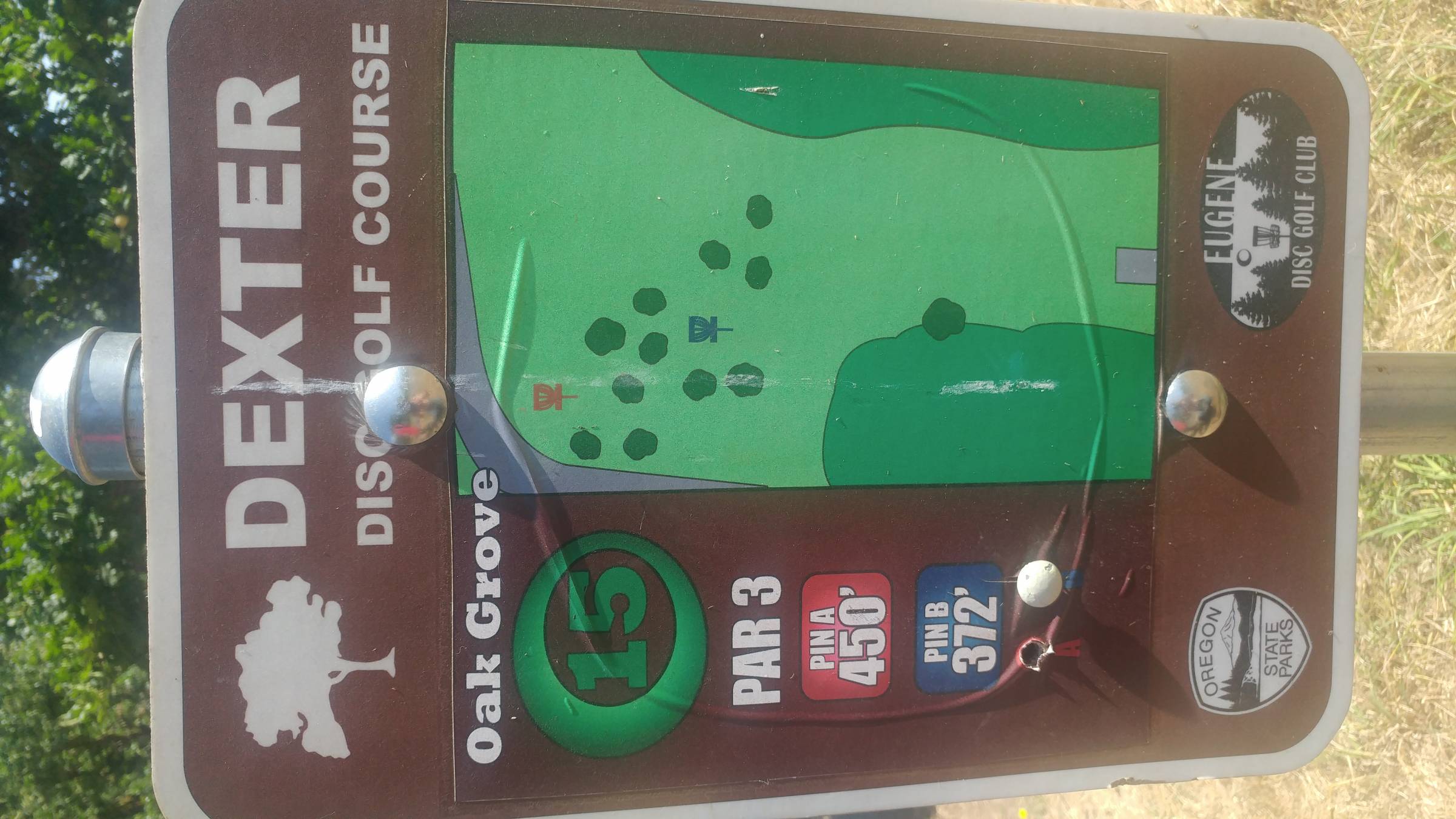 Hole 15 • Dexter Park (Dexter, OR) Disc Golf Courses Disc Golf Scene