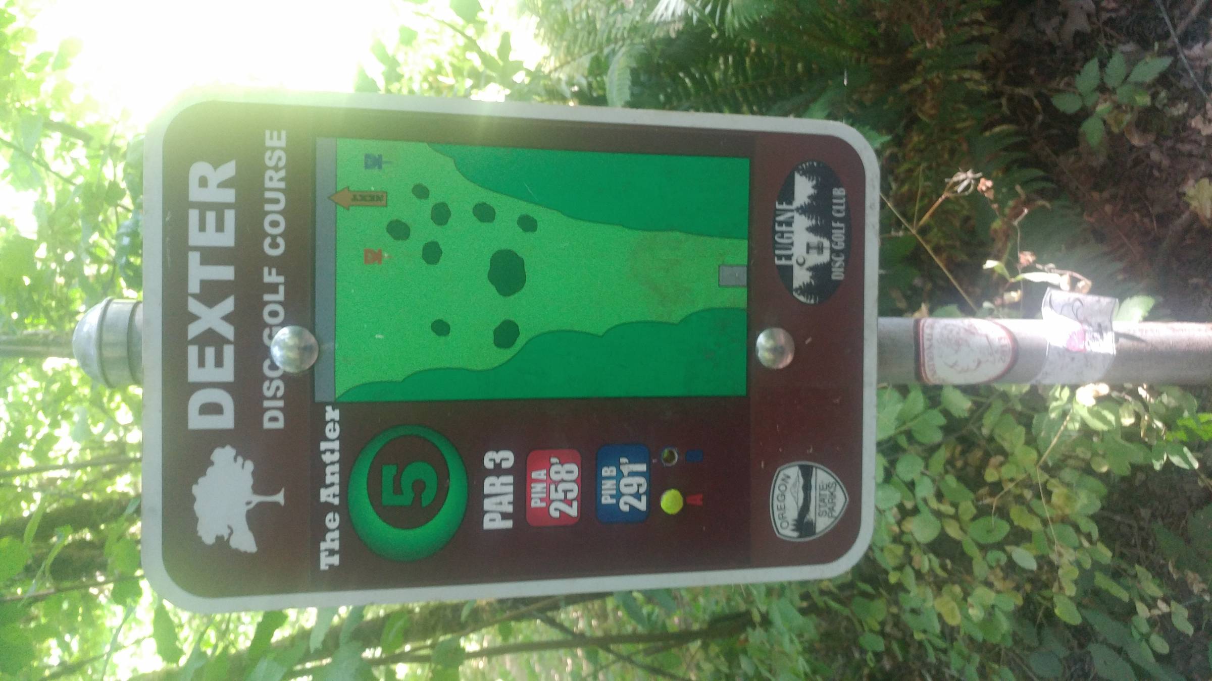 Hole 5 • Dexter Park (Dexter, OR) Disc Golf Courses Disc Golf Scene