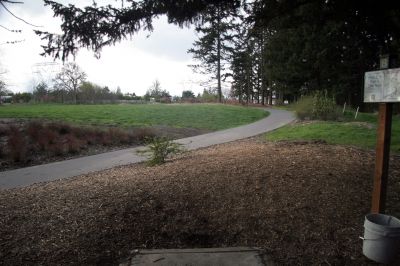 Orchard Park, Main course, Hole 8 Tee pad