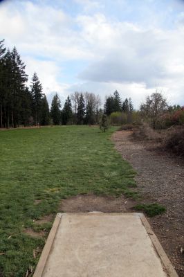 Orchard Park, Main course, Hole 5 Tee pad