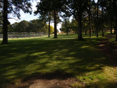 Tree Top DGC at Sorosis Park, Main course, Hole 14 Tee pad