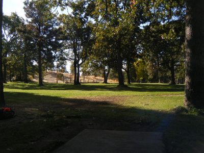 Tree Top DGC at Sorosis Park, Main course, Hole 18 Tee pad