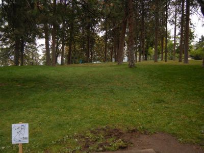 Tree Top DGC at Sorosis Park, Main course, Hole 7 Tee pad