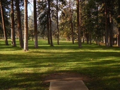 Tree Top DGC at Sorosis Park, Main course, Hole 9 Tee pad