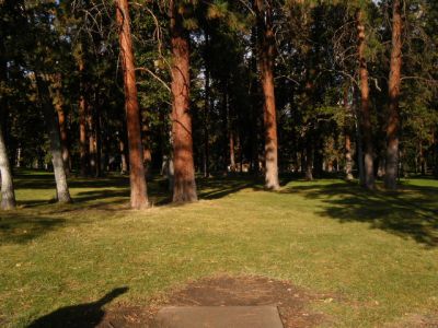 Tree Top DGC at Sorosis Park, Main course, Hole 4 Tee pad